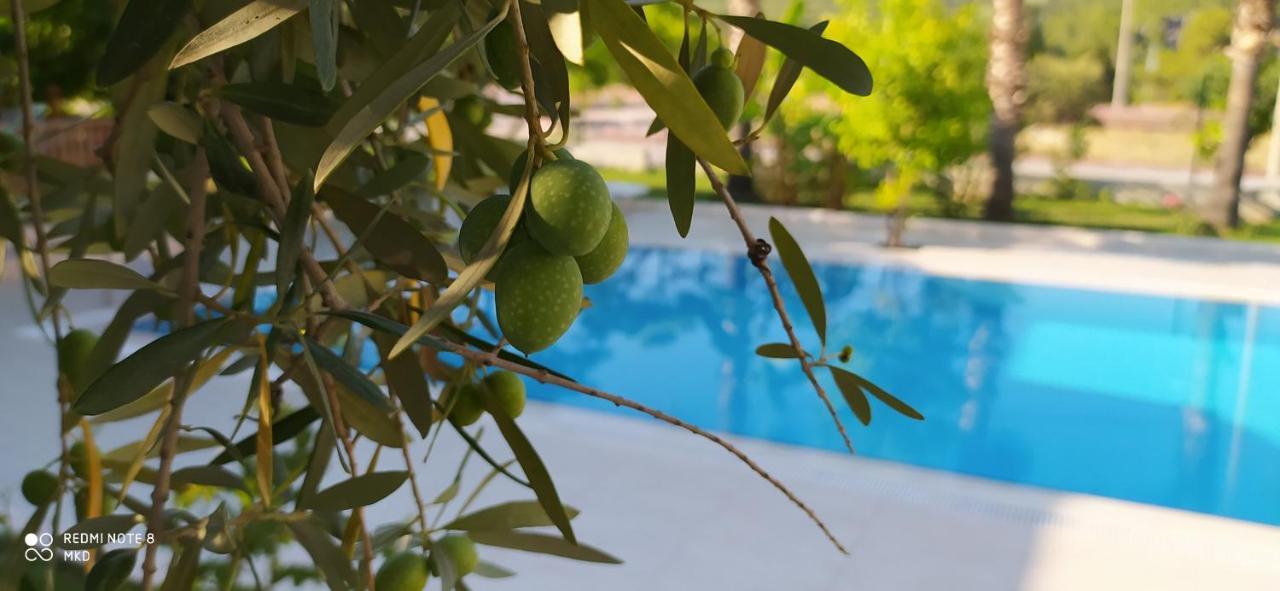 Green Garden Otel Kemer Exteriör bild