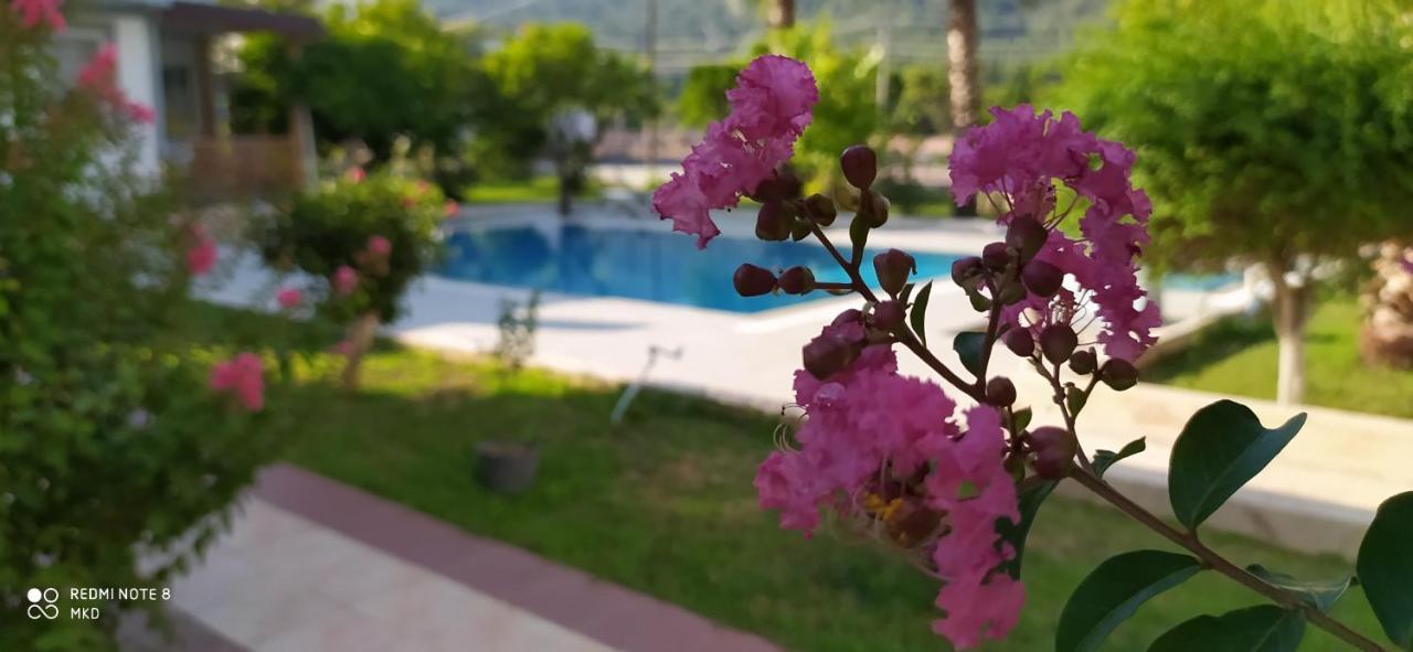 Green Garden Otel Kemer Exteriör bild